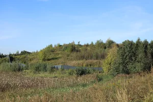 Городище «Щербинское» («Конопелковское») (Щербинка)