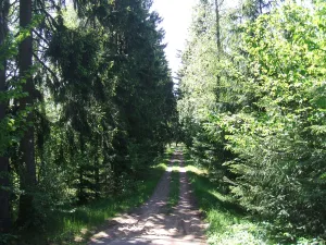Сад (в исторических границах — 10,3 га) (Смолячково)