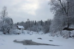 Явосьма
