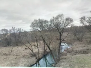 Недна