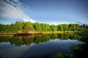 Лама