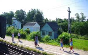 Земцы