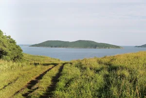 Антипенко