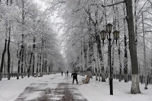 Казанский бульвар (Ярославль)
