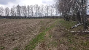 Редут западный (Тарутино)