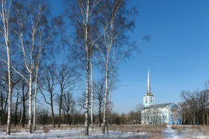 Парк (Ярославль)