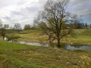 Муравка