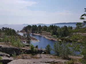 Хонкасало
