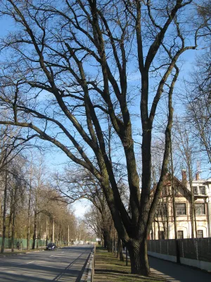 Павловское шоссе