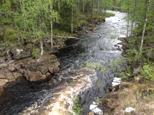 Таракшинойоки