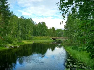 Улмосенйоки