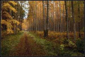 Средний парк