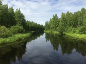 Соанйоки