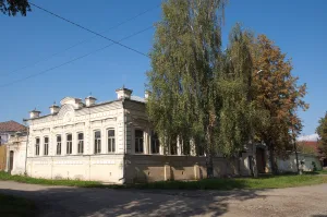 Городская усадьба золотопромышленника Подвинцева (Невьянск)