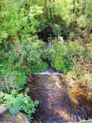 Буровлянка