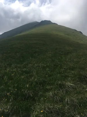 Сирх