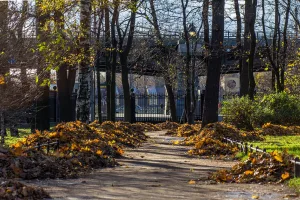 Ограда по Приморскому проспекту