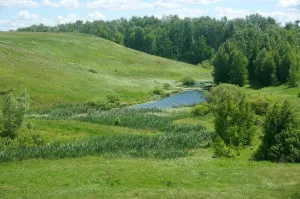 Мусорка