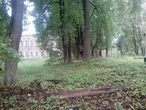 Главный дом (Аннино)