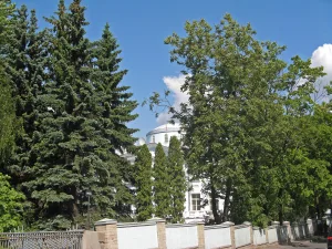 Участок парка