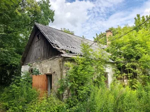 Жилой дом (Старый Изборск)