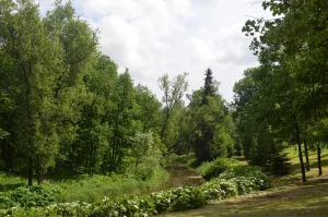 Парк (Павловск)