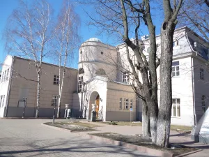 Черный лебедь