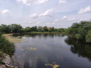 Большая Глушица