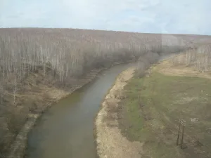 Куваш