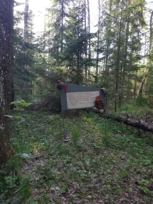 Место, где находился партизанский лагерь