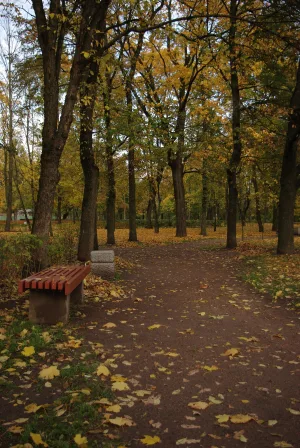 Парк «Дворцовый» (Красное Село)