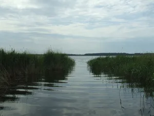 Азанколь