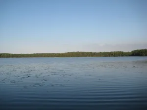 Сарженское