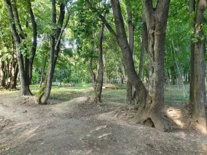Усадьба Богородское (Воронино)