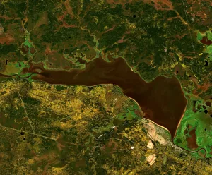 Леушинский Туман