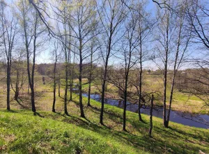 Ельнинский детинец
