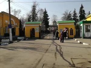 Ворота главного входа