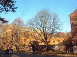 Редюит (Калининград)