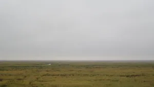 Большой Сарыкуль