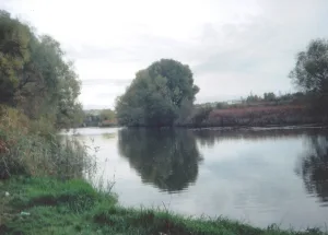 Рпень