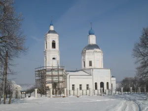 Церковь Рождества Пресвятой Богородицы (Брынь)