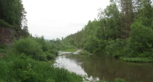 Балай