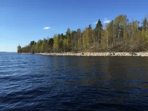 Селькямарьянсаари