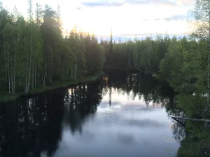 Летняя река
