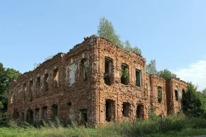 Главный дом (Ильинское)