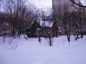 улица Алексея Дикого, 16