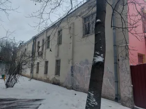 Флигель (Басманный)