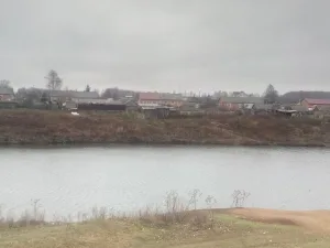 Папоротка