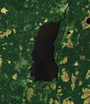 Лача