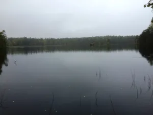 Раялампи